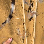 Draperii Catifea Marmorat - Gold - imagine 2